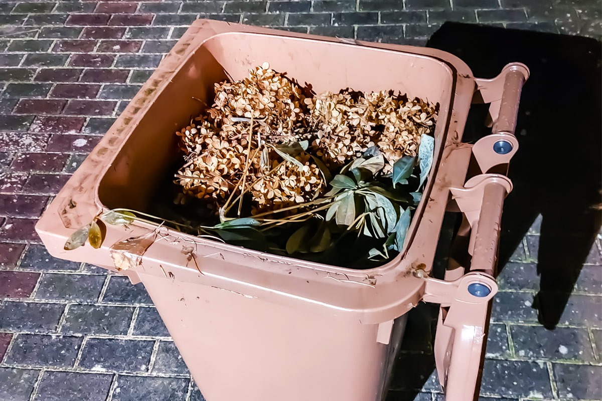 Können Gartenabfälle in die Biotonne