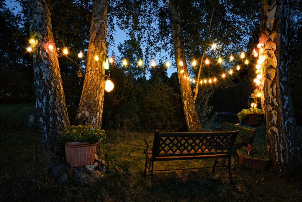 Lichterkette im Garten an mehreren Birken aufgehängt. Einfach Gartendekoration selber machen.